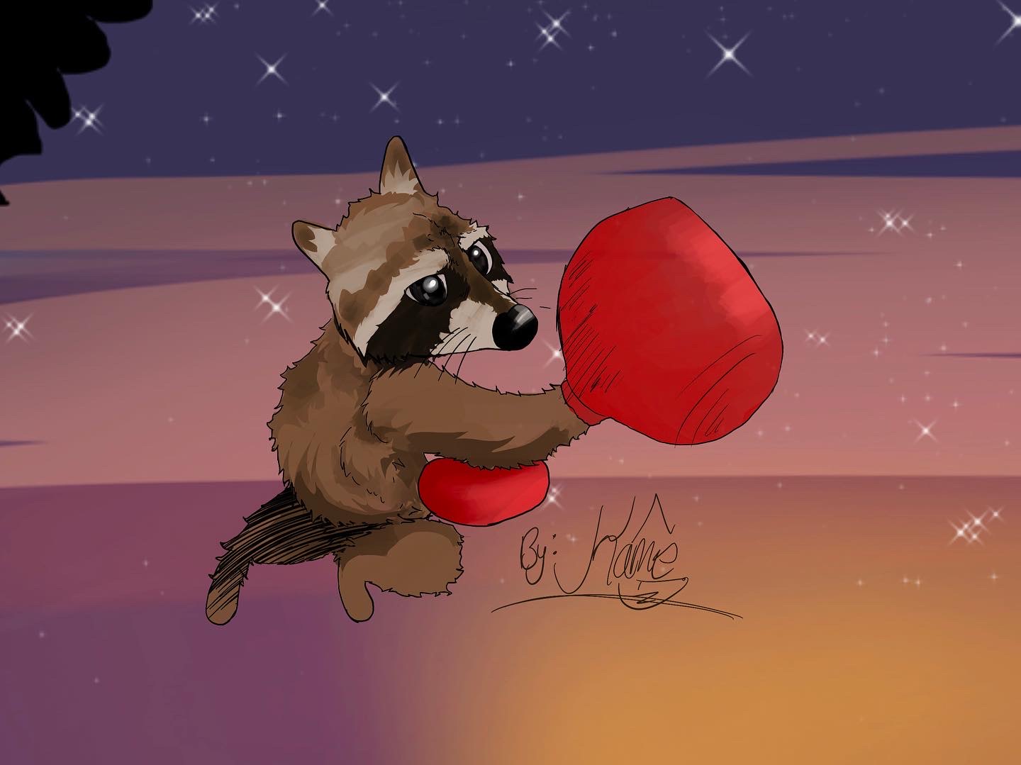 Raccoon Boxing